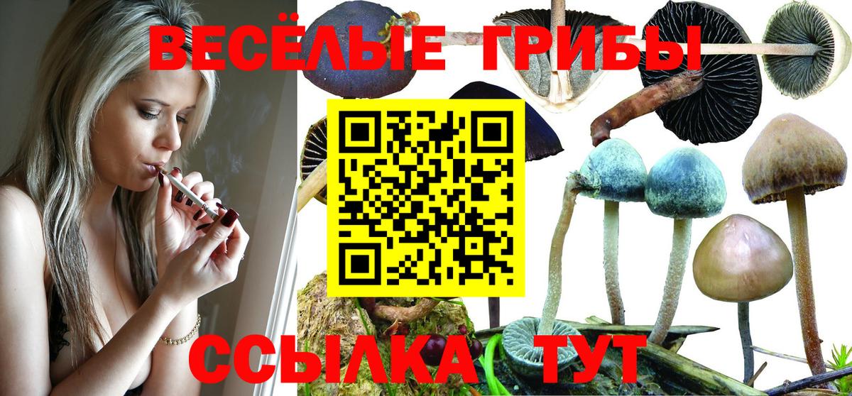 Псилоцибиновые грибы прущие грибы Касимов