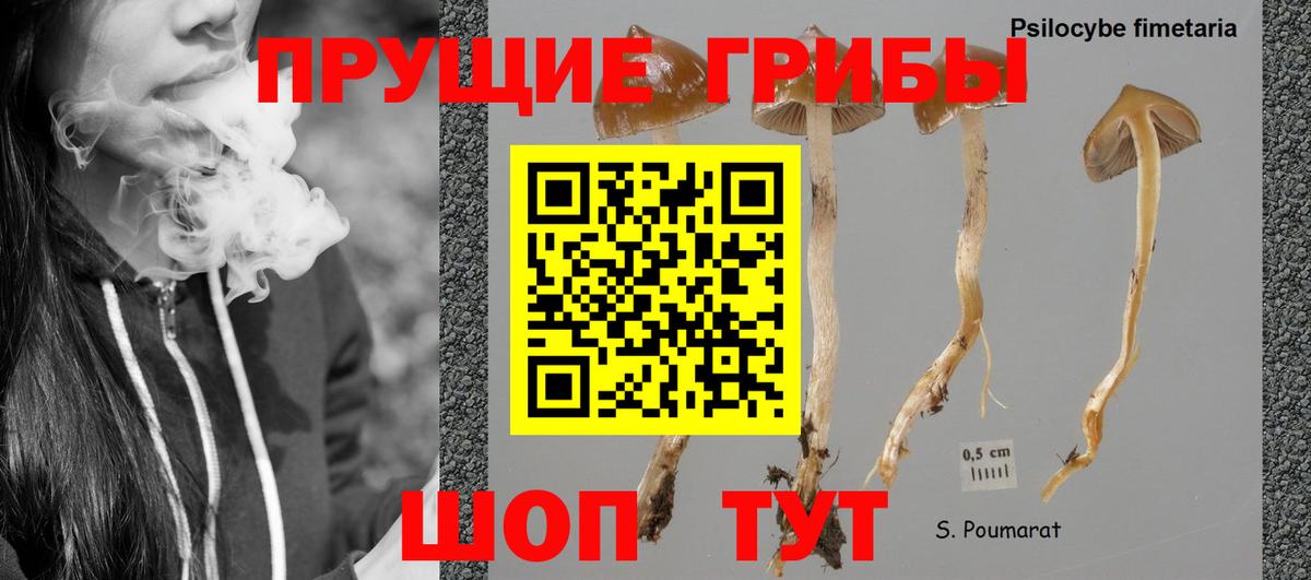 Касимов  Галлюциногенные грибы мухоморы  Галлюциногенные грибы прущие грибы  Вход с VPN 